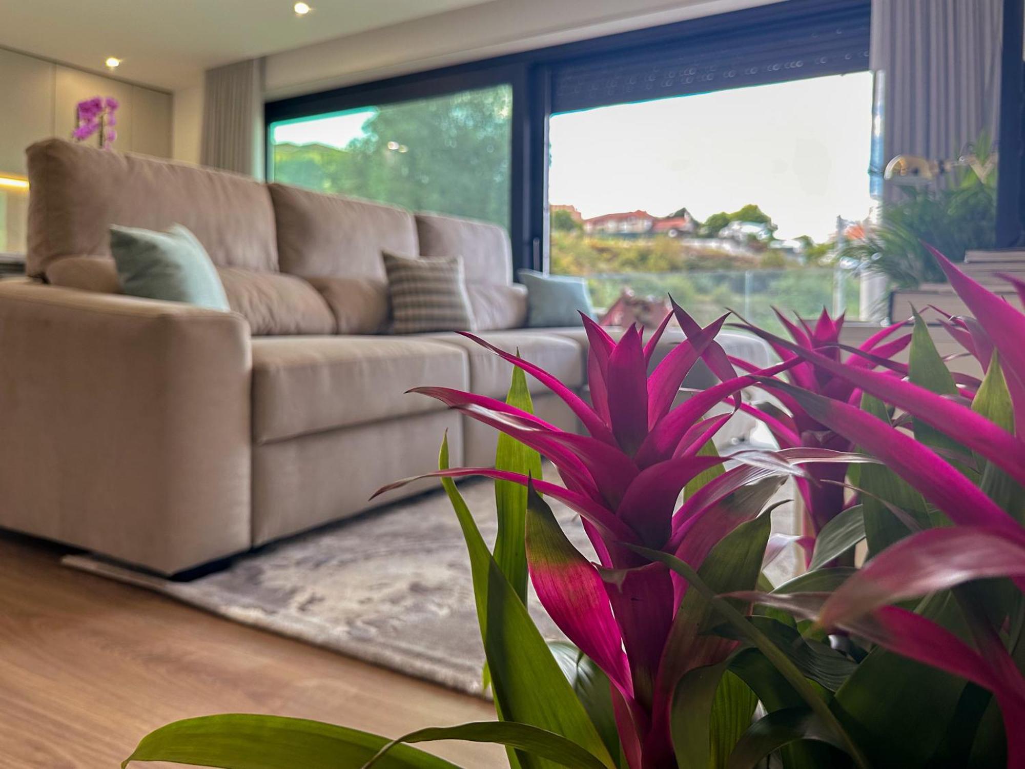 Flora Guest House Marco de Canavezes エクステリア 写真